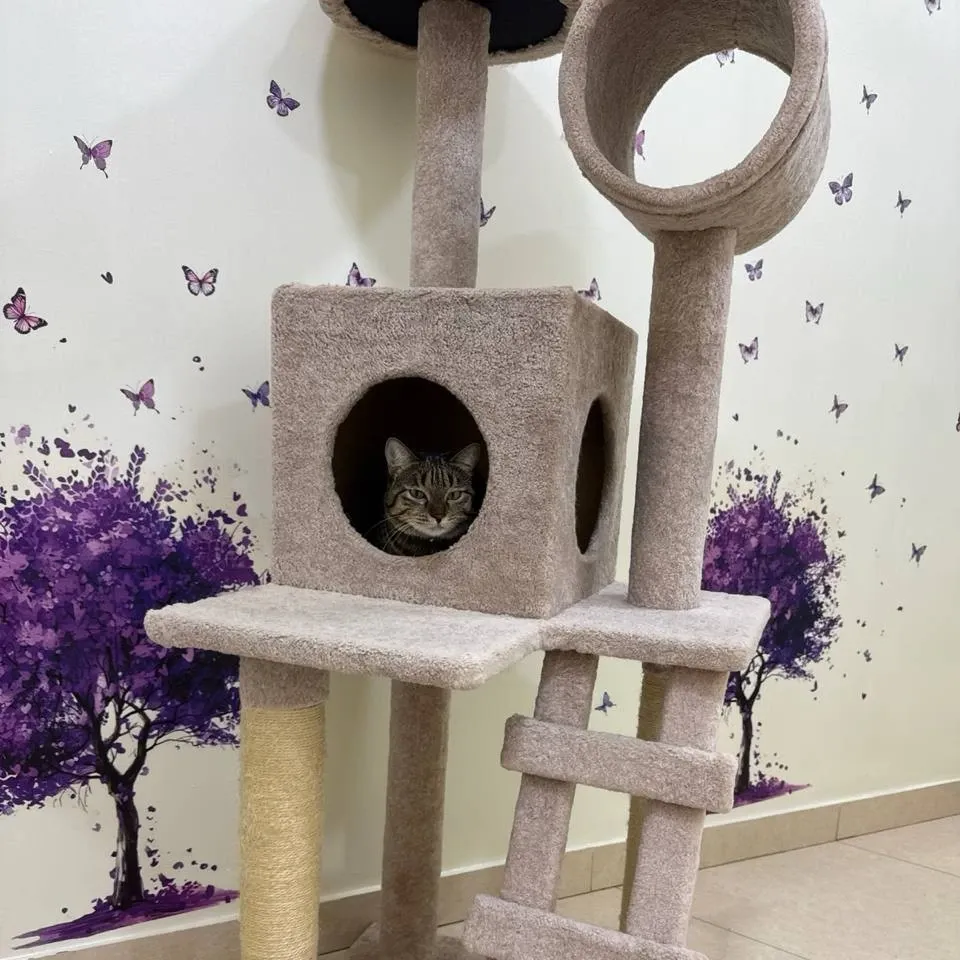 Зоогостинница MyVet фото 1