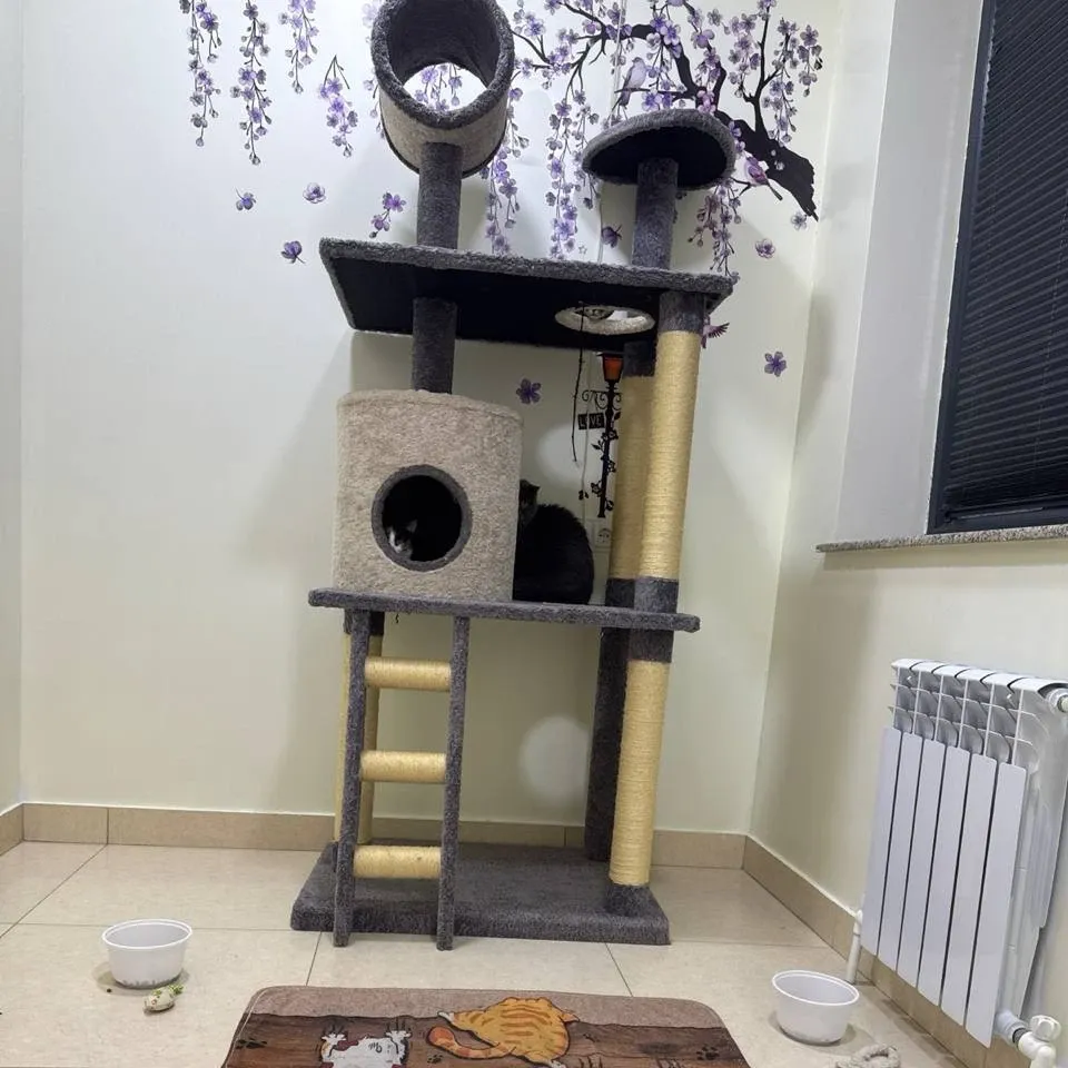 Зоогостинница MyVet фото 3